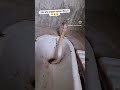 Bathroom Me Saanp Funny Funnyvideo Shorts