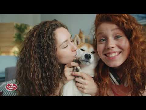 Emergency Dog Food Rations #EmergencyDogFood #petpreparedness  #DisasterReadyPets