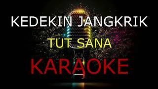 Download lagu KEDEKIN JANGKRIK_TUT SANA_KARAOKE. mp3