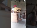 Polo Makhoba Akeniqukule Amageja By Indlabeyiphika