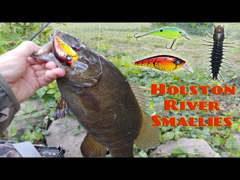 HOW TO Catch Smallmouth Bass In Rivers Top 3 Lures For Smallmouth Fishing