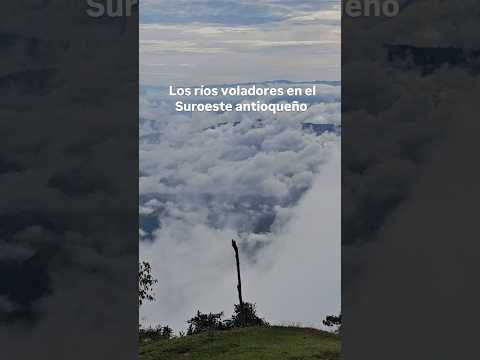Las mañanas desde la vereda La Soledad, Jericó, Antioquia🌀⛰️. Ríos voladores!