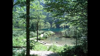 Du bist das Licht - Gregor Meyle Cover von Traurig Tanzen