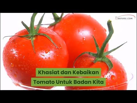 , title : 'Kebaikan Tomato Untuk Badan Kita'