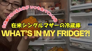 What’s in my Fridge?!【在米日本人の冷蔵庫の中】私たちがいつも食べているもの