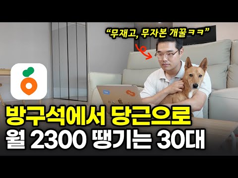 당근에 중고대신 '이것' 팔아서 월 순수익 2300만원