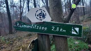 von Kössern nach Tanndorf Thümmlitzwald 25 November 2021