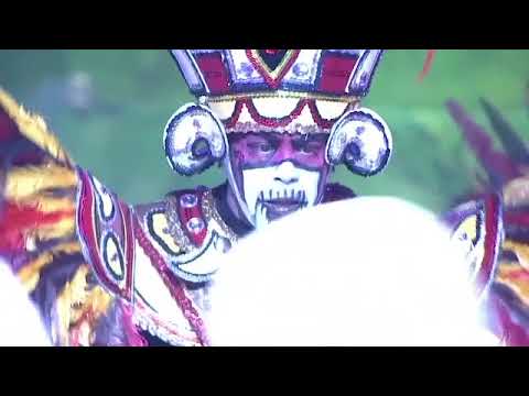 Purple Magic NYB 2018