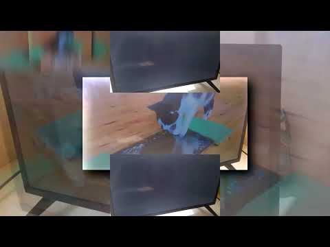 1 ноября 2025 г.