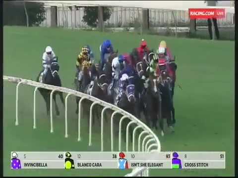 Queensland Oaks 2017 Egg Tart