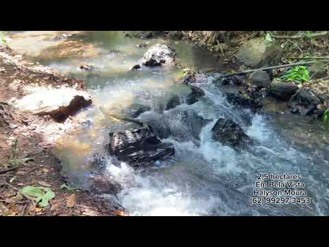 Chacara de 2.5 alqueires rica em água apenas 48 km de Goiânia R$ 350.000,00