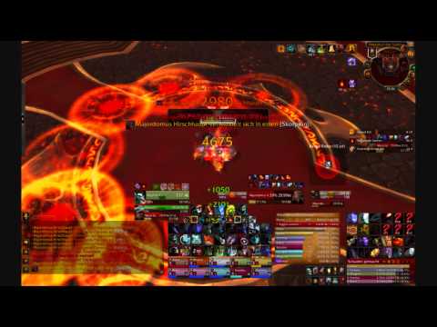 Major Domus 10er Normal Hunter POV