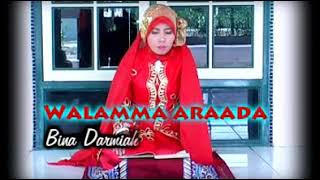 Download lagu Lantunan Bardzanji 'WALAMMA ARAADA', oleh : Bina Darwiah, (Versi Kedua) mp3