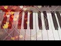 Visiri Song Status