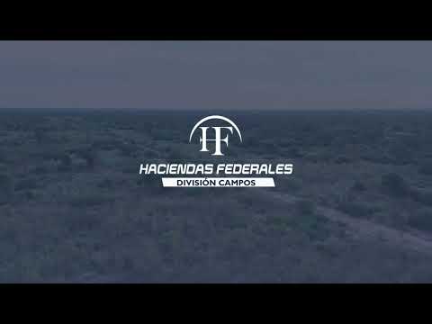 Campo ganadero en venta en Formosa – 2.408 ha con excelente ubicación sobre RN 81