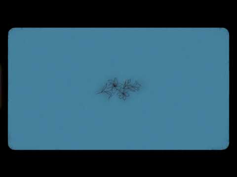 LIL GRIPPIE - Orchideje (OFFICIAL VISUAL)