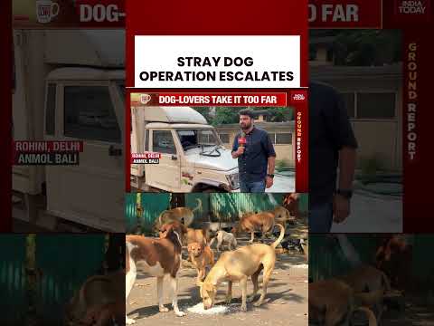 MCD’s #straydogs Drive Turns Violent In Rohini, Dog Lovers Vandalize Catcher's Van, & FIR Is Filed