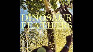 dinosaur feathers - certain times