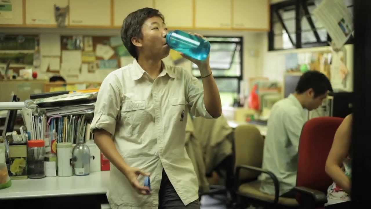 Watch migratory birds at Hong Kong’s top birdwatching spot