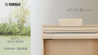 CLP-785 / ヤマハ 電子ピアノ クラビノーバ CLP | 島村楽器