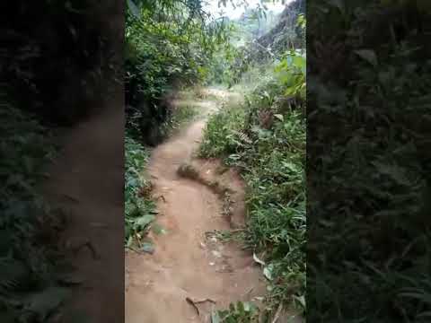 tirando trocha en cisneros Antioquia Colombia 👙👙👙