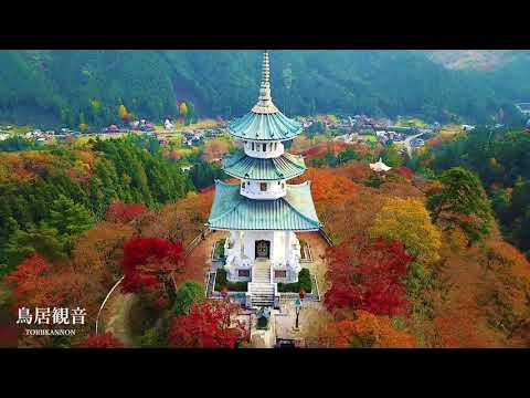 【公式】飯能市～紅葉めぐり～Autumn Leaves in Hanno city/60秒版