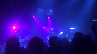 Freeman - Golden Monkey