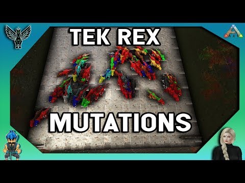 TEK REX MUTATIONS - SO MANY AMAZING COLORS! 50 BABIES!