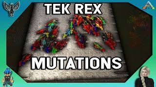 TEK REX MUTATIONS - SO MANY AMAZING COLORS! 50 BABIES!