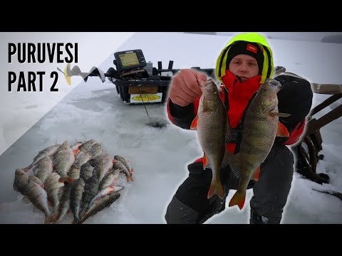 Puruvesi | Karkeempaa kyörää | Perch ice fishing