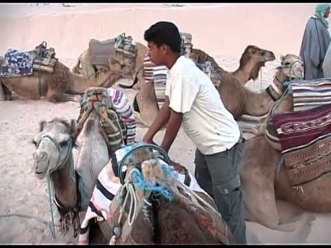 А1 Ексклузив - Тунис