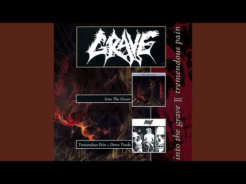 Into The Grave video thumbnail
