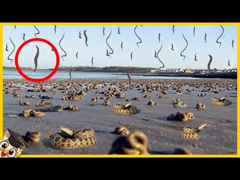 10 Seltsame Dinge, die vom Himmel gefallen sind