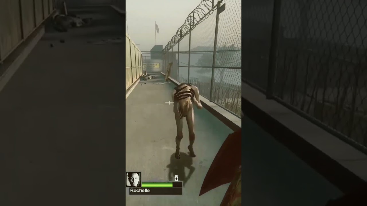 L4D2 Rochelle Crowns A Witch