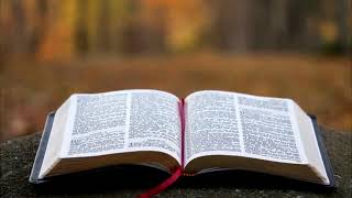 Impamvu by Eva(official audio)