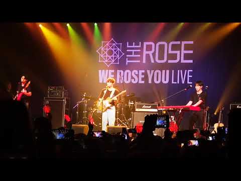 191114 The Rose (더 로즈) - Sorry in Amsterdam