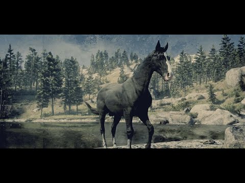Red Dead Redemption 2: Every Horse - Black Kentucky Saddler