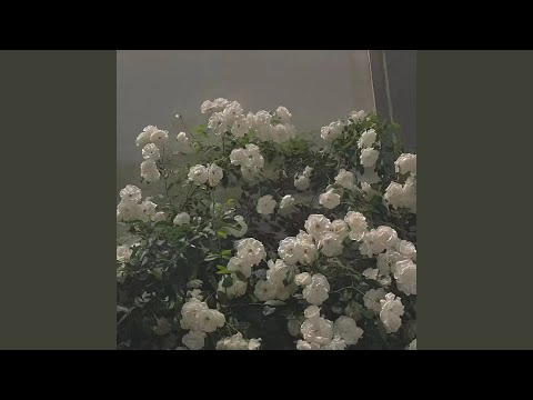 watery graves （in-game）