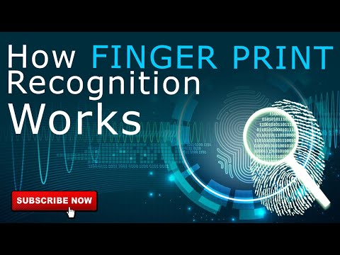 How fingerprint recognition works / biometric devices