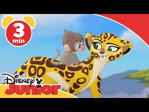 Løvernes garde synger  ♫ | Bavian - Disney Junior Danmark