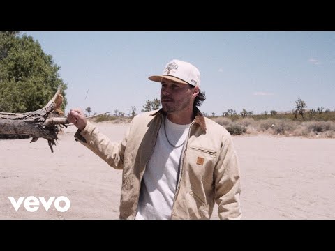 Josh Ross - Hate How You Look (Visualizer)