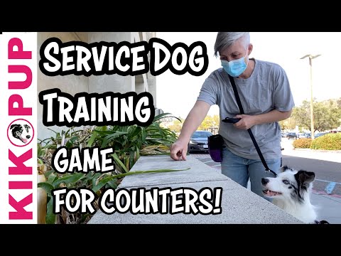 What is Clicker Training