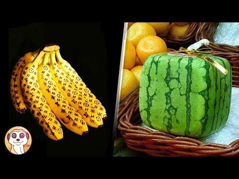 Medicina coreana per la potenza Prezzemolo proprietà medicinali di potenza