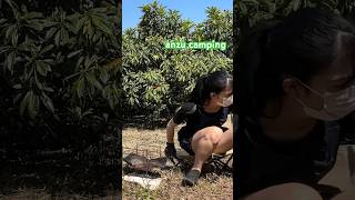 キャンプ #shorts #shortsfeed #short #camping