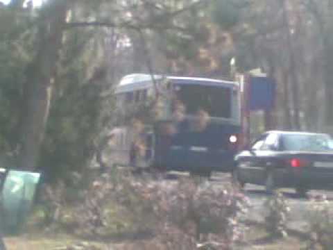 Volvo Alfa Localo Margitsziget 2010.03.20