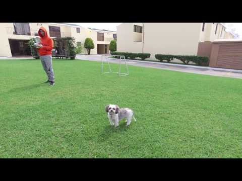 San José Pinula, Guatemala