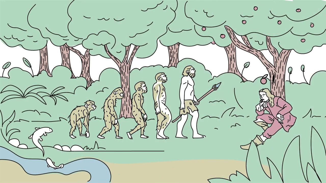 Feldenkrais Method - EXPLAINED - Volume 4