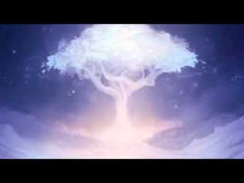 【1572】 Marcelo Borges - Canto da Nova Era Viemos das Alturas Celestes