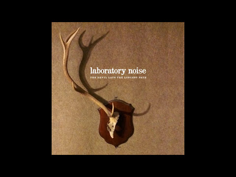 Laboratory Noise - Rooks