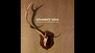 Laboratory Noise - Rooks